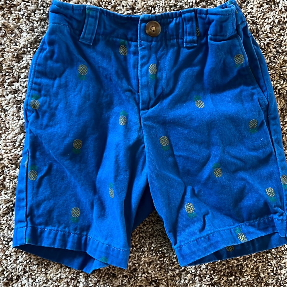 LANDS END | Blue Shorts with Pineapple Design.  Adjustable waistband.